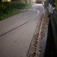 olspur.jpeg