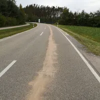 whatsapp_image_2019-09-26_at_081755_1.jpeg
