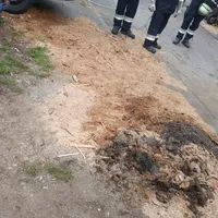 whatsapp_image_2019-10-17_at_094703_2.jpeg